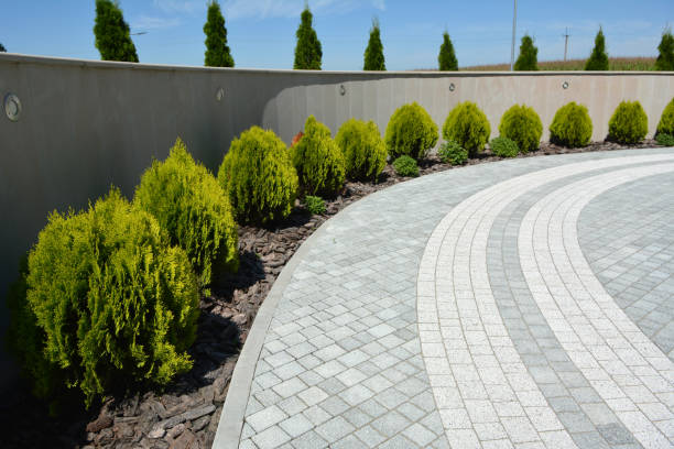 Reasons to Select Us for Your Driveway Paving Requirements in Forsyth, GA